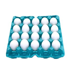 ovos brancos